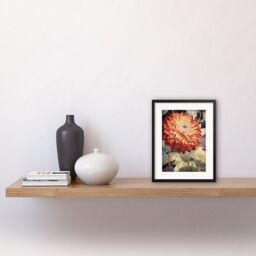 "Artery8 Wall Art Print Orange Dahlia Flower Watercolour Artwork Framed 9X7 Inch in Black - Size: W7"" x H9""" - thumbnail 2