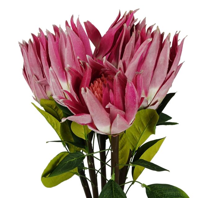 Pegdev Pack of 6 65cm Artificial Pink Protea Stems with Silk Petals - image 1