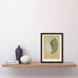 Artery8 White Margined Nightshade Leaves Fawcett Framed Wall Art Print in Beige - Size: A4 - thumbnail 2