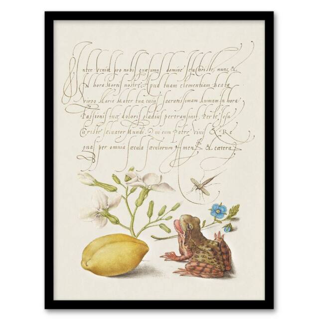 Artery8 Model Book of Calligraphy Framed Wall Art Gillyflower Almond & Frog in White - Size: A4 - image 1