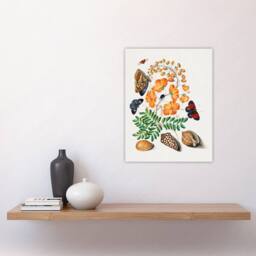 "Artery8 Flowers Butterflies & Seashells Bolton Wall Art Poster Print - Size: W12"" x H16""" - thumbnail 4