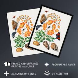 "Artery8 Flowers Butterflies & Seashells Bolton Wall Art Poster Print - Size: W12"" x H16""" - thumbnail 2