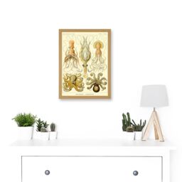 Artery8 Nature Ernst Haeckel Octopus Biology Sea Underwater A4 Artwork Framed Wall Art Print in Light Oak - thumbnail 2