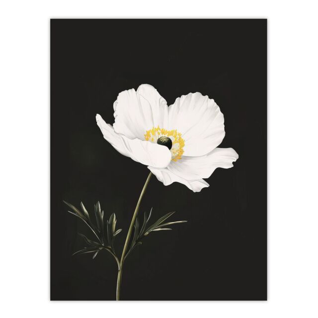 "Artery8 Single White Poppy Anemone Flower Black Floral Wall Art Print - Size: W24"" x H32""" - image 1