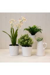 KDMD White Ceramic Jug Fleur De Lis - thumbnail 3