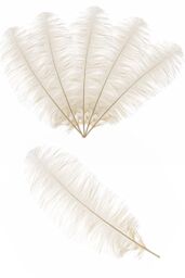 Neel Blue 10pcs Ostrich Feathers Plume, 50cm - 60cm in Ivory - thumbnail 5