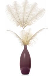 Neel Blue 10pcs Ostrich Feathers Plume, 50cm - 60cm in Ivory - thumbnail 6