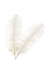 Neel Blue 10pcs Ostrich Feathers Plume, 50cm - 60cm in Ivory - thumbnail 3