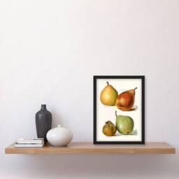 Artery8 John Wright Framed Wall Art Four Pear Varieties Vintage Illustration in White - Size: A4 - thumbnail 2