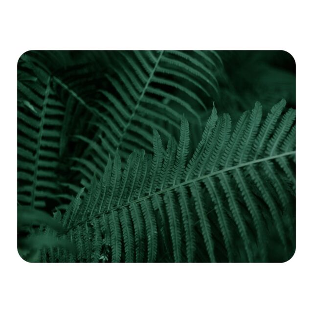 Benjamin Tate Design Plants background. Biophilia trend Designer Blanket in Natural - Size: 120 cm x 150 cm - image 1