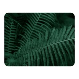 Benjamin Tate Design Plants background. Biophilia trend Designer Blanket in Natural - Size: 120 cm x 150 cm - thumbnail 1
