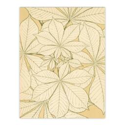 Artery8 Owen Jones Framed Wall Art Leaves From Nature No 1 Vintage Botanical in Beige - Size: A4 - thumbnail 3