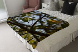 Benjamin Tate Design leaves & branches Designer Blanket in Natural - Size: 120 cm x 150 cm - thumbnail 4