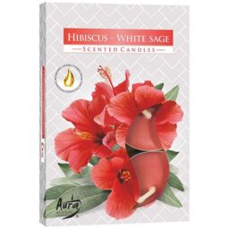 KDMD Set of 6 Scented Tealights - Hibiscus & White Sage in Orange - thumbnail 2