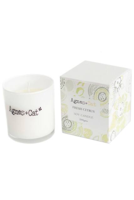 KDMD Agnes & Cat Fresh Citrus Soy Votive Candle in White - image 1