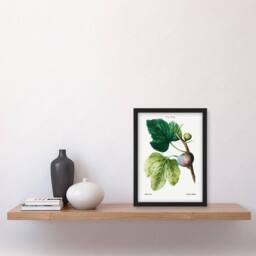 Artery8 Pierre J Redoute Framed Wall Art Vintage Botanical Ficus Carica Fig in White - Size: A4 - thumbnail 2