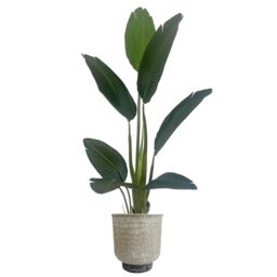 Leaf 32cm x 29cm Brushed Gold Stone Effect Planter Composite Plant Pot in White - Size: 32 cm x 29 cm - thumbnail 2
