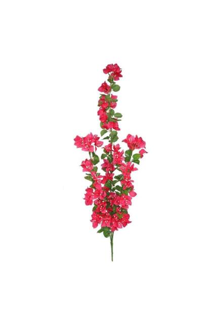 KDMD Essential Pink Bougainvillea Trail - image 1