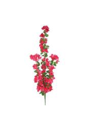 KDMD Essential Pink Bougainvillea Trail - thumbnail 2