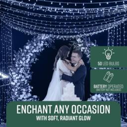 Globrite 50 LED Christmas Fairy String Lights Battery Operated - Cool White - thumbnail 2