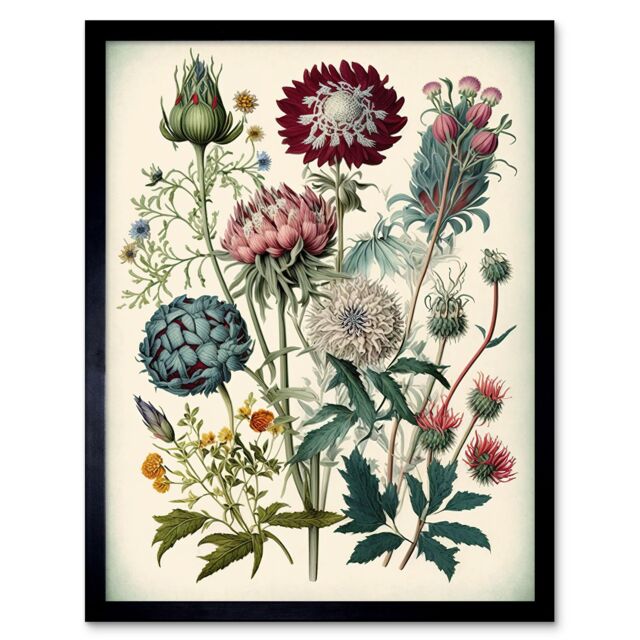 "Artery8 Ernst Haeckel Style Botanical Plant Watercolour Framed Wall Art Print - Size: W12"" x H16""" - image 1