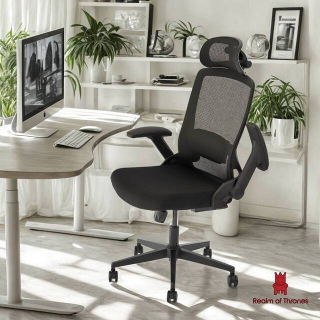 Realm of Thrones High-Back Mesh Office Chair with 3D Headrest & Lumbar Support Desk Chair for Home Office Gaming Chair in Black - image 1