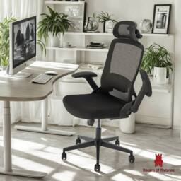 Realm of Thrones High-Back Mesh Office Chair with 3D Headrest & Lumbar Support Desk Chair for Home Office Gaming Chair in Black - thumbnail 1