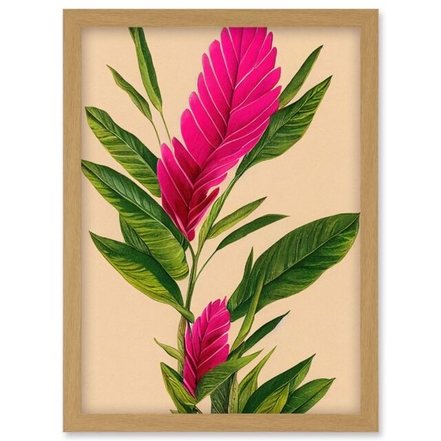 Artery8 Tropical Hawaiian Botanical Exotic Pink Floral illustration Artwork Framed Wall Art Print A4 in Light Oak - image 1