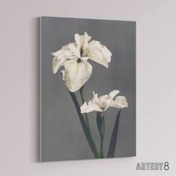 "Artery8 White Water Iris Flowers Canvas Wall Art Print Ogawa Kazumasa in Grey - Size: W18"" x H24""" - thumbnail 2