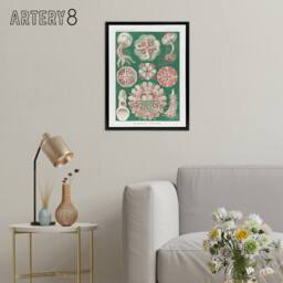 "Artery8 Green Pink Vintage Jellyfish Haeckel Botanical Framed Canvas Wall Art - Size: W12"" x H16""" - thumbnail 3