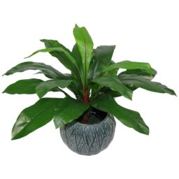 Leaf Artificial Bird Nest Fern Plastic weighted pot 60cm Realistic House Plants Botanik in Green - thumbnail 2