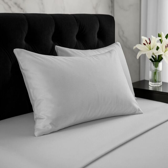 Snug City Microfibre Soft Touch Plain Dyed Housewife Pillowcase Pair in Silver - image 1