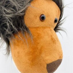 Minster Lion Head Hanger - L18 x W20 x H30 cm in Brown - Size: 1 Pack - thumbnail 6