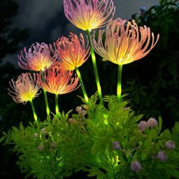 Leaper Solar Outdoor Lawn Equinox Flower Landscape Lights in Pink - thumbnail 2