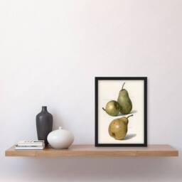 "Artery8 Vintage Illustration of Pear Varieties Wright Framed Wall Art Print in White - Size: W12"" x H16""" - thumbnail 4