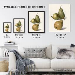 "Artery8 Vintage Illustration of Pear Varieties Wright Framed Wall Art Print in White - Size: W12"" x H16""" - thumbnail 3