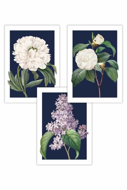 ARTZE Set of 3 Vintage Flowers Lilac, Peony & Camellia on Navy Blue Art Posters - Size: W50 cm x H70 cm - image 1
