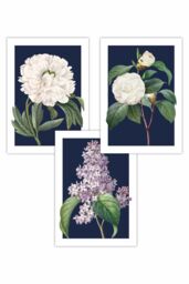 ARTZE Set of 3 Vintage Flowers Lilac, Peony & Camellia on Navy Blue Art Posters - Size: W50 cm x H70 cm - thumbnail 1