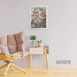 "Artery8 Kolibri Birds Hummingbird Species Haeckel Canvas Wall Art - Size: W18"" x H24""" - thumbnail 3