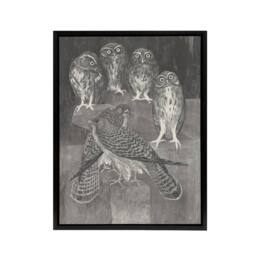 "Artery8 Four Owls & Two Kestrels Framed Canvas Wall Art Print van Hoytema in Grey - Size: W12"" x H16""" - thumbnail 1