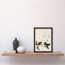 Artery8 Sarah Featon Framed Wall Art New Zealand Puawananga Clematis Flowers in Beige - Size: A4 - thumbnail 2