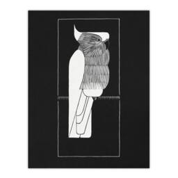 "Artery8 Sulphur Crested Cockatoo Parrot De Mesquita Wall Art Poster Print in Black - Size: W18"" x H24""" - thumbnail 1