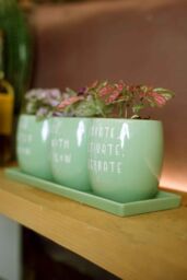 Upper Street Home Set Of 3 Ceramic Flower Pots On Tray, Green Slogan Design Planters, Plant Pot Display, Indoor Plant Containers in Light Green - thumbnail 2