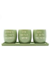 Upper Street Home Set Of 3 Ceramic Flower Pots On Tray, Green Slogan Design Planters, Plant Pot Display, Indoor Plant Containers in Light Green - thumbnail 1