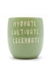 Upper Street Home Set Of 3 Ceramic Flower Pots On Tray, Green Slogan Design Planters, Plant Pot Display, Indoor Plant Containers in Light Green - thumbnail 4