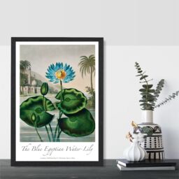 ARTZE Vintage Floral Exhibition - Egyptian Water Lily Framed Print SIZE: A3 with Black Frame in Green - thumbnail 2