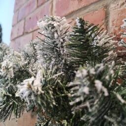 Samuel Alexander 2.7m (9ft) Luxury Imperial Green Snowflocked Christmas Garland - thumbnail 6
