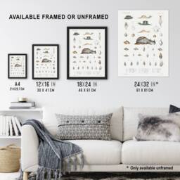 "Artery8 Snail varieties & shells Augustus Gould Wall Art Poster Print in White - Size: W12"" x H16""" - thumbnail 3