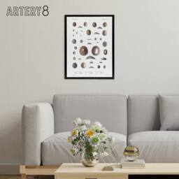 "Artery8 Mollusca Shells Marine Life Augustus Gould Framed Canvas Wall Art in White - Size: W12"" x H16""" - thumbnail 3
