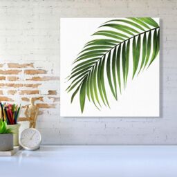 "Warren Reed - Designer Single Palm Leaf Canvas in Green - Size: W16"" x H16""" - thumbnail 2